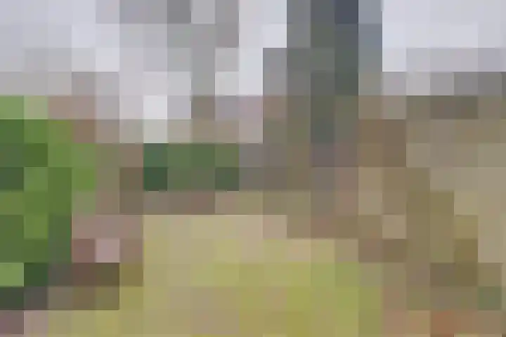 Jacob Catssingel 46 Breda thumbnail 37