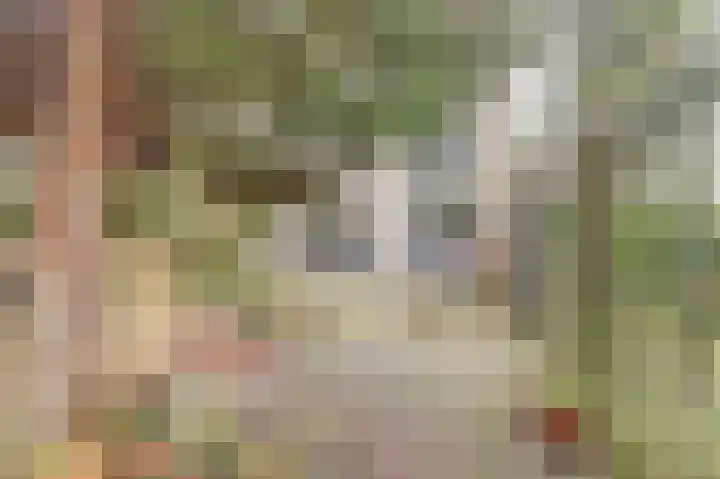 Jacob Catssingel 46 Breda thumbnail 38