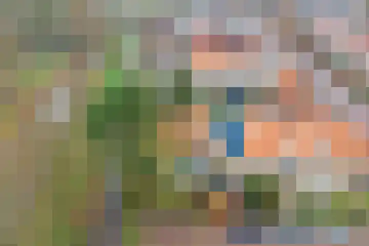 Jacob Catssingel 46 Breda thumbnail 39