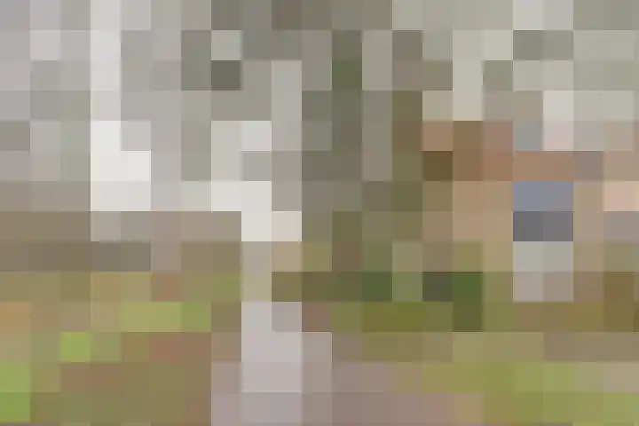 Jacob Catssingel 46 Breda thumbnail 4
