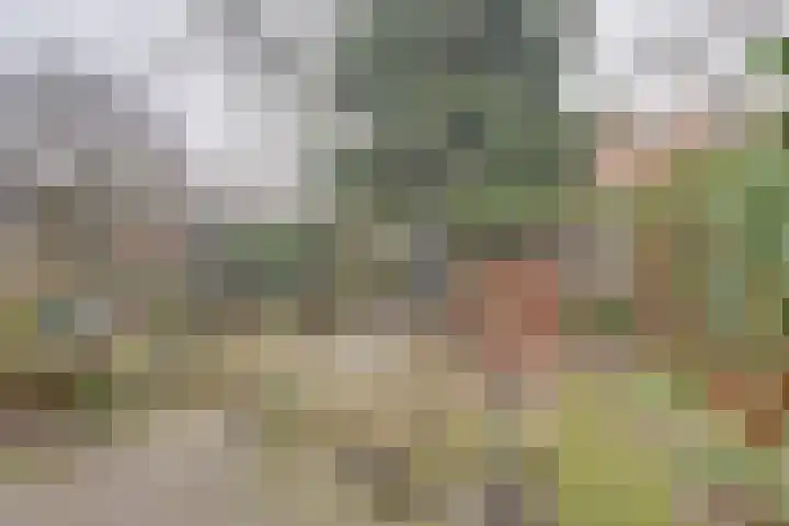 Jacob Catssingel 46 Breda thumbnail 7