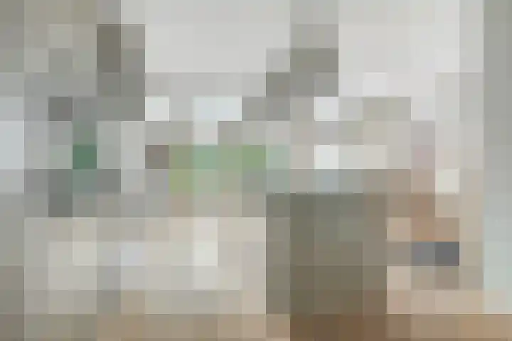 Jacob Catssingel 5 Breda thumbnail 13