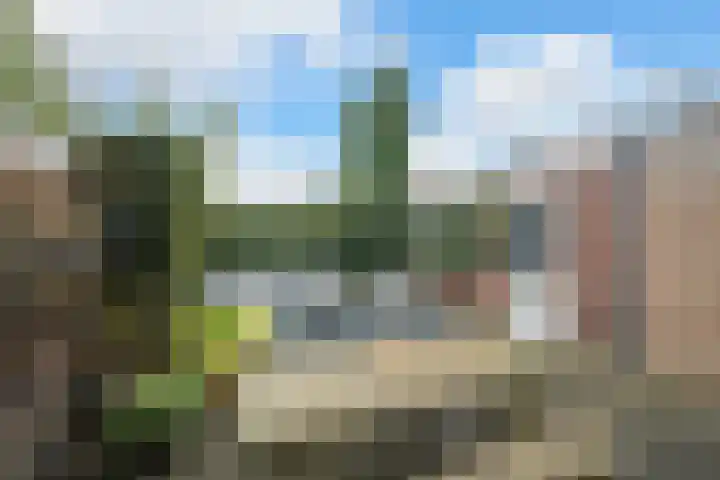 Jacob Catssingel 5 Breda thumbnail 20