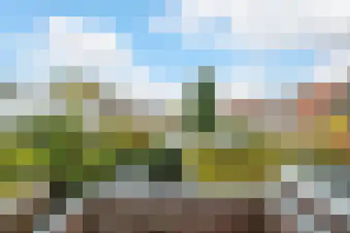 Jacob Catssingel 5 Breda thumbnail 28