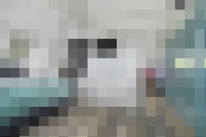Jacob Catssingel 5 Breda thumbnail 32