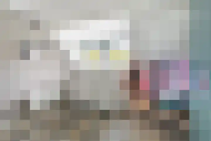 Jacob Catssingel 5 Breda thumbnail 35