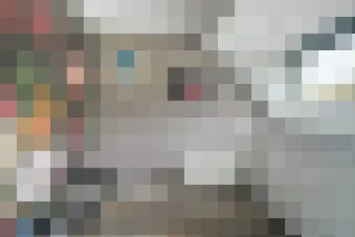 Jacob Catssingel 5 Breda thumbnail 36