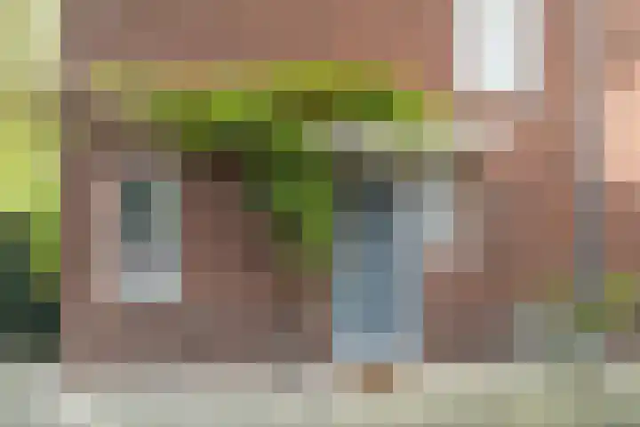 Jacob Catssingel 5 Breda thumbnail 39