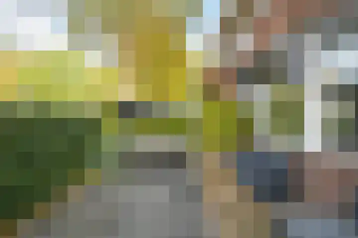 Jacob Catssingel 5 Breda thumbnail 41