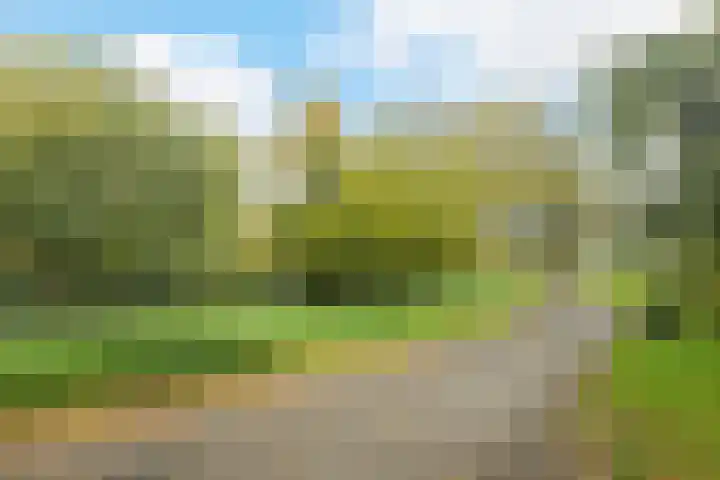 Jacob Catssingel 5 Breda thumbnail 44