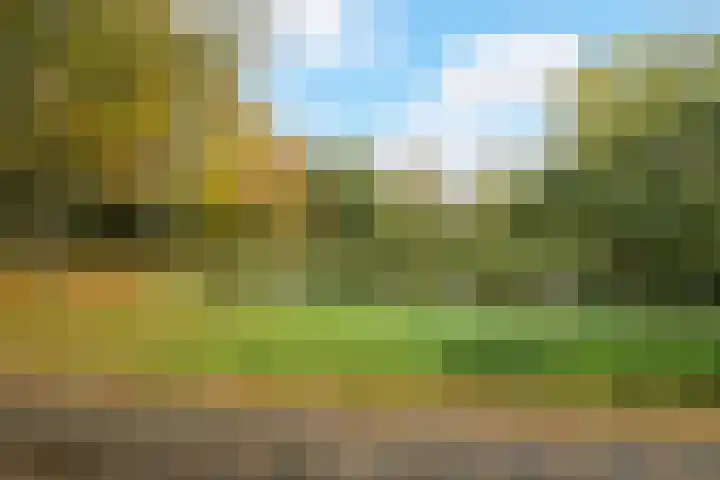 Jacob Catssingel 5 Breda thumbnail 45