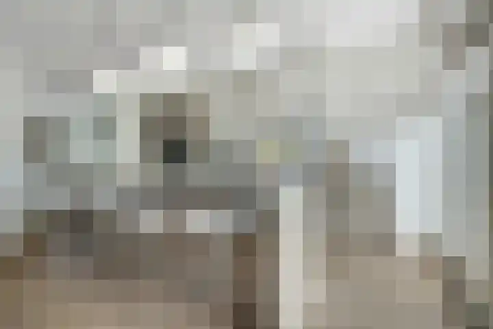 Jacob Catssingel 5 Breda thumbnail 6