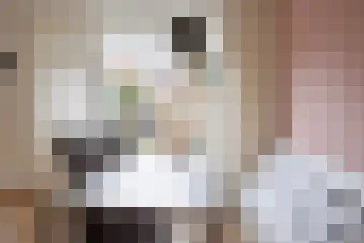 Jacob Catssingel 50 Breda thumbnail 13