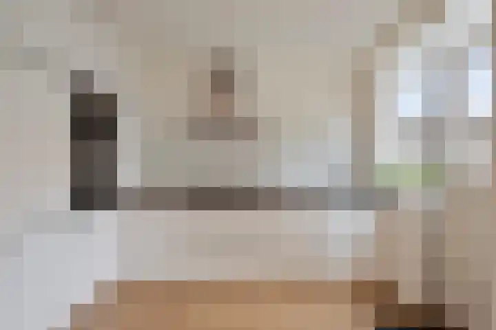 Jacob Catssingel 50 Breda thumbnail 15