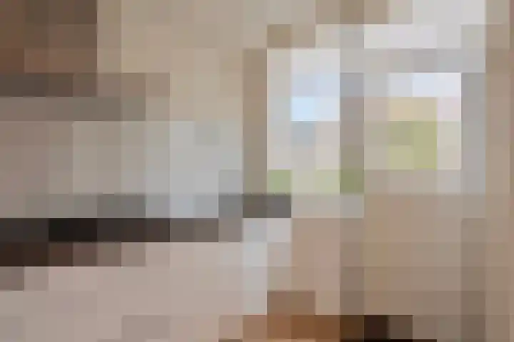 Jacob Catssingel 50 Breda thumbnail 16