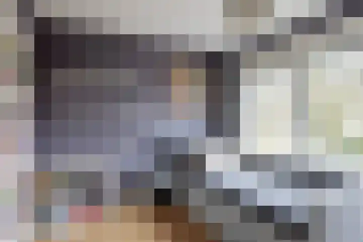 Jacob Catssingel 50 Breda thumbnail 21