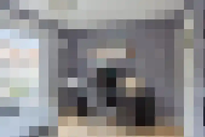 Jacob Catssingel 50 Breda thumbnail 22