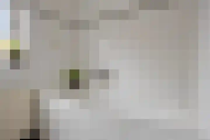 Jacob Catssingel 50 Breda thumbnail 24