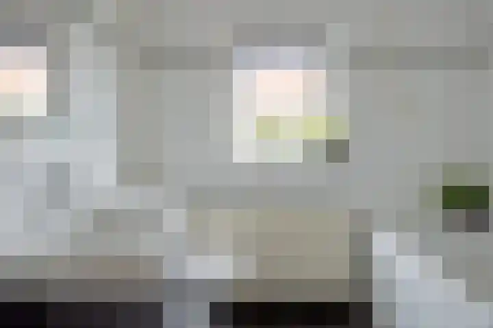 Jacob Catssingel 50 Breda thumbnail 25