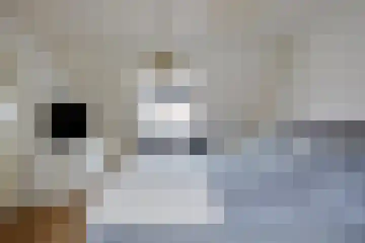 Jacob Catssingel 50 Breda thumbnail 29