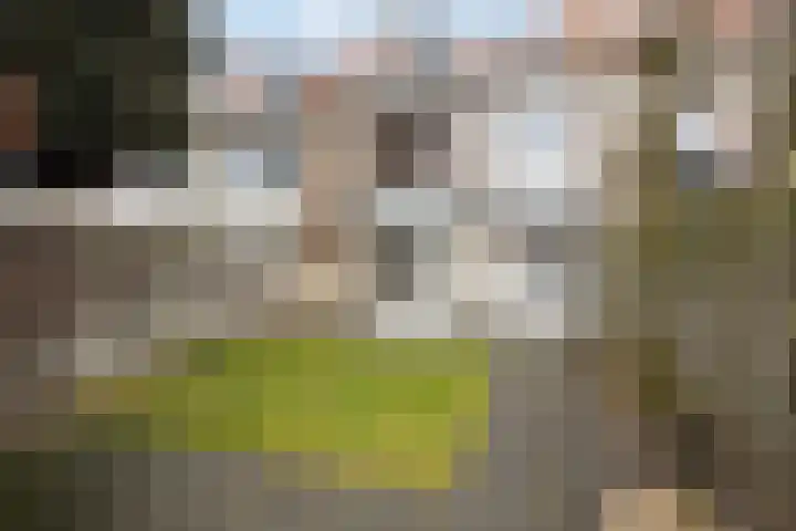 Jacob Catssingel 50 Breda thumbnail 36