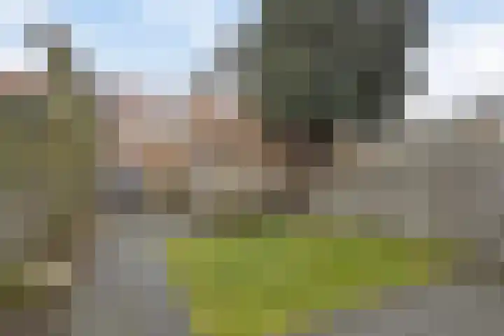 Jacob Catssingel 50 Breda thumbnail 37