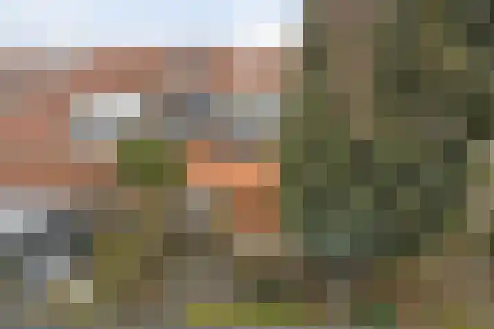 Jacob Catssingel 50 Breda thumbnail 38