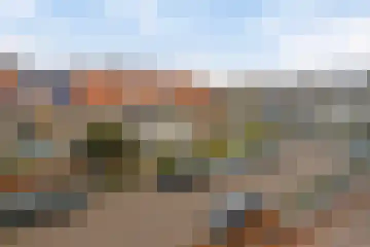 Jacob Catssingel 50 Breda thumbnail 39