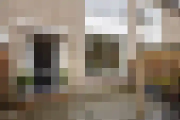 Jacob Catssingel 50 Breda thumbnail 4