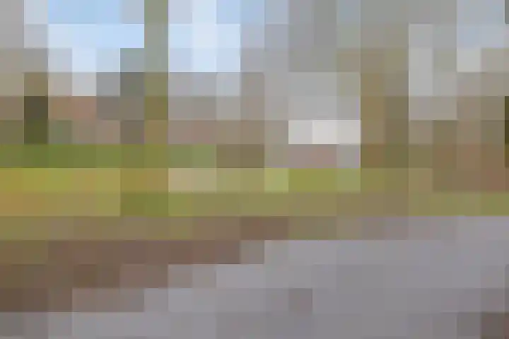 Jacob Catssingel 50 Breda thumbnail 41