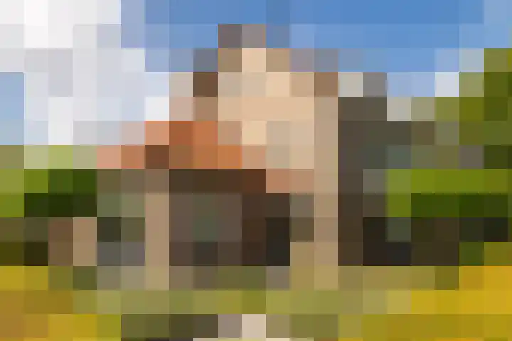 Jacob Catssingel 82 in Breda