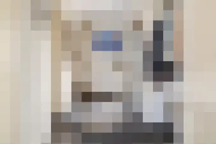Jacob Catssingel 82 Breda thumbnail 10