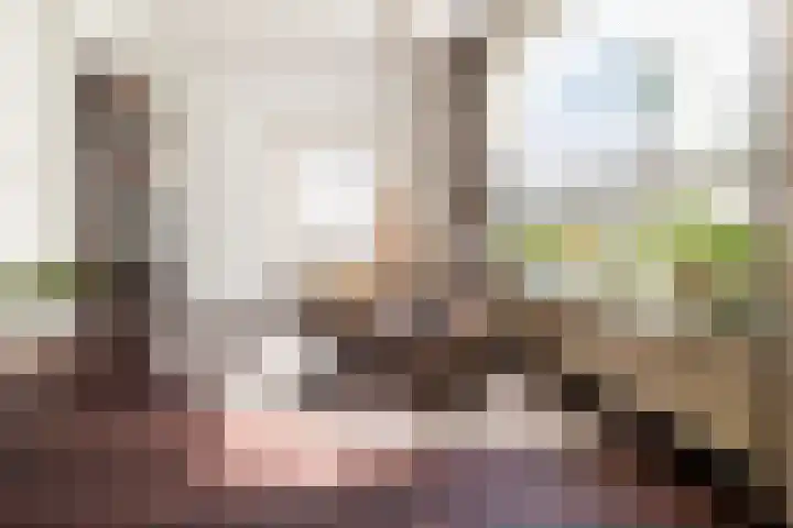 Jacob Catssingel 82 Breda thumbnail 16
