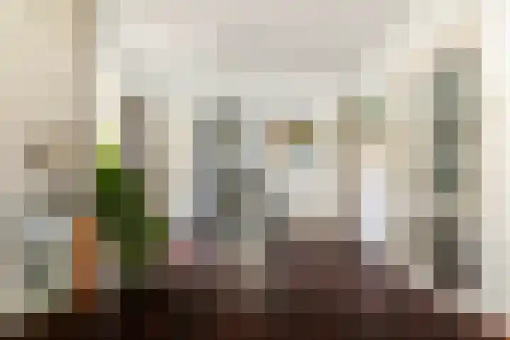 Jacob Catssingel 82 Breda thumbnail 17