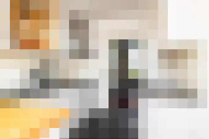 Jacob Catssingel 82 Breda thumbnail 22