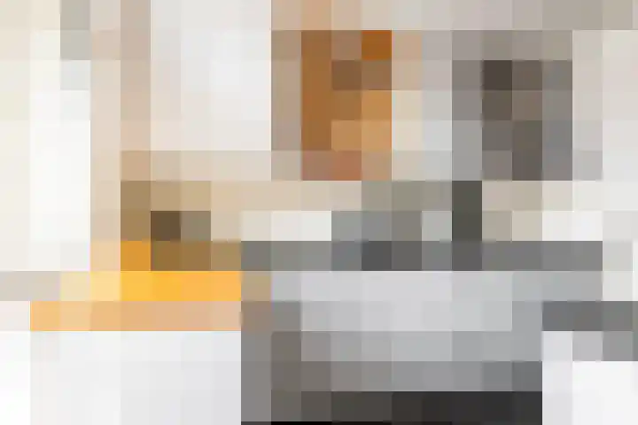 Jacob Catssingel 82 Breda thumbnail 23