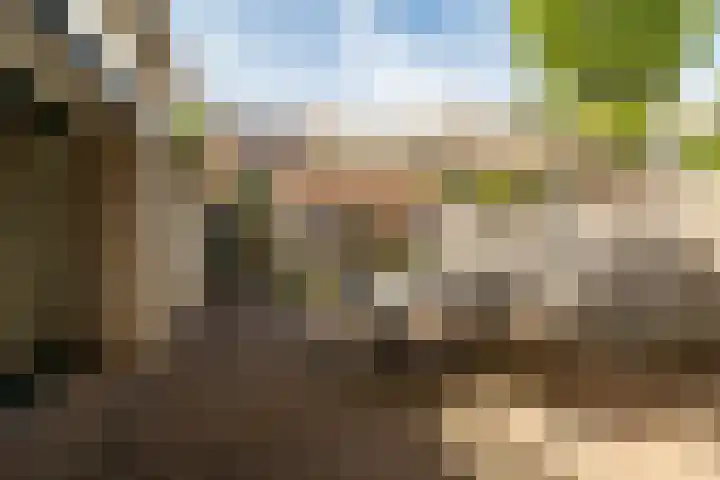 Jacob Catssingel 82 Breda thumbnail 24