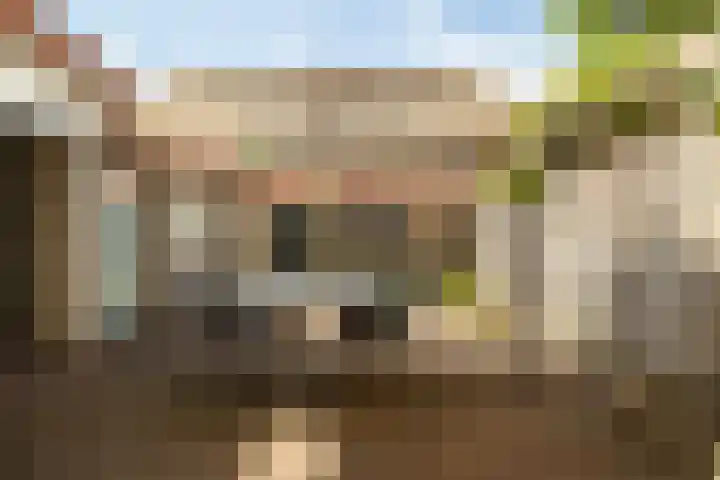 Jacob Catssingel 82 Breda thumbnail 25