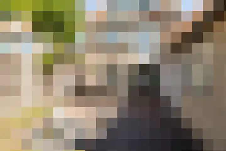 Jacob Catssingel 82 Breda thumbnail 26