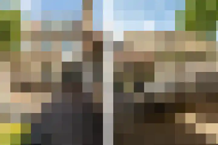 Jacob Catssingel 82 Breda thumbnail 28