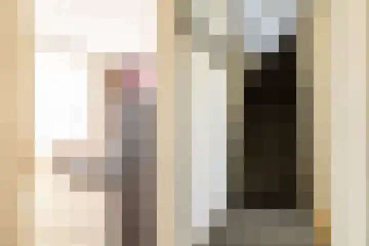 Jacob Catssingel 82 Breda thumbnail 36