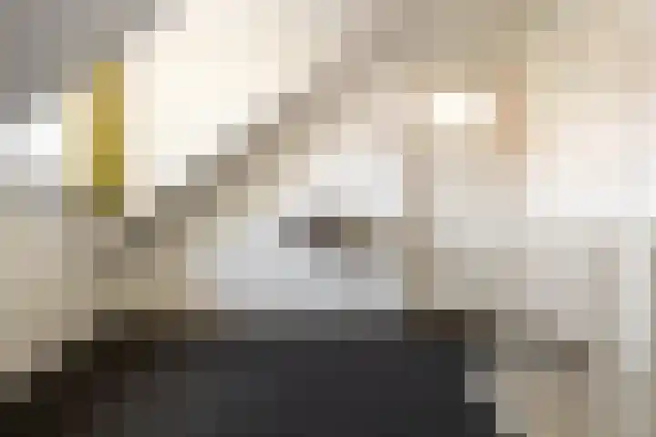Jacob Catssingel 82 Breda thumbnail 37