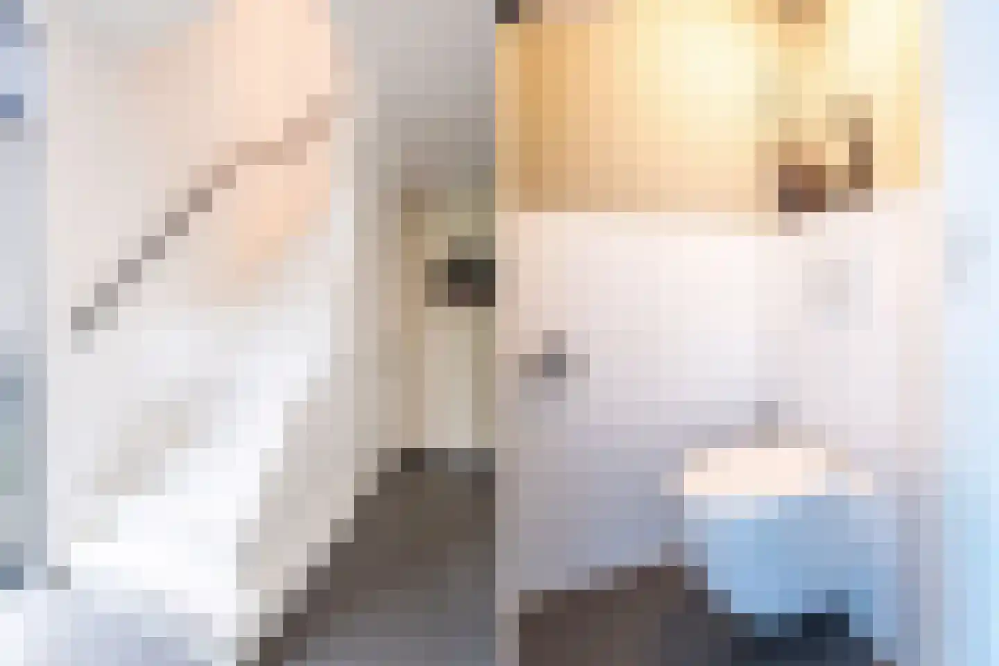 Jacob Catssingel 95 Breda thumbnail 10
