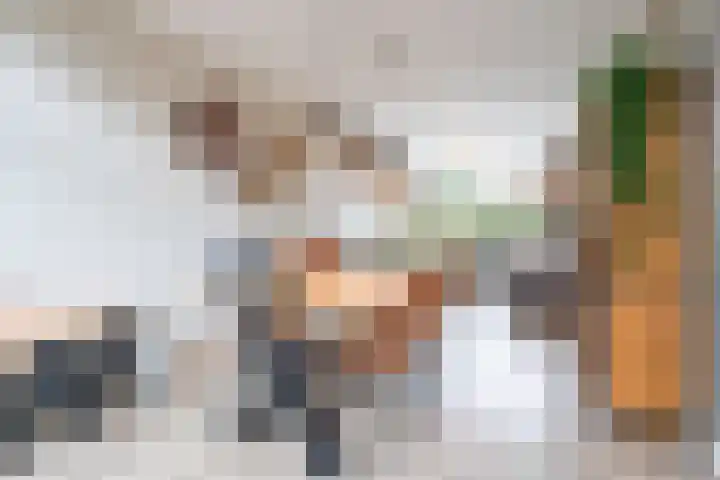 Jacob Catssingel 95 Breda thumbnail 15