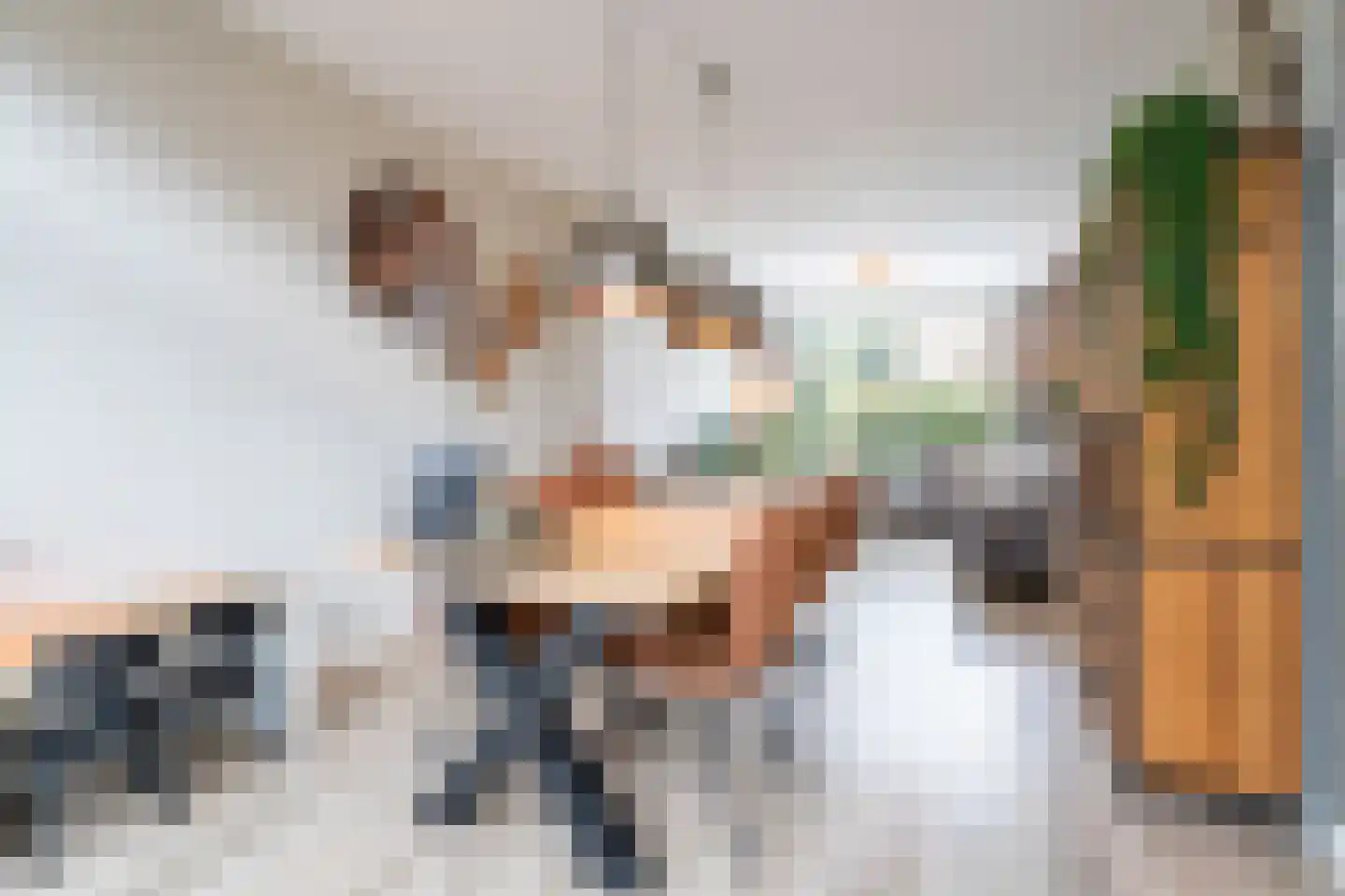 Jacob Catssingel 95 Breda thumbnail 15