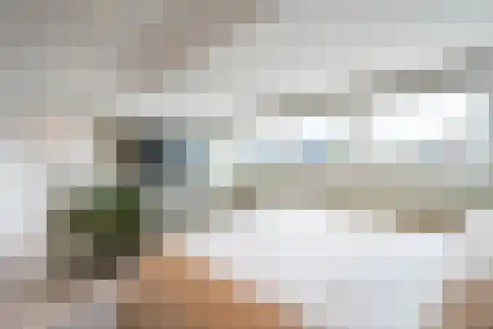 Jacob Catssingel 95 Breda thumbnail 30