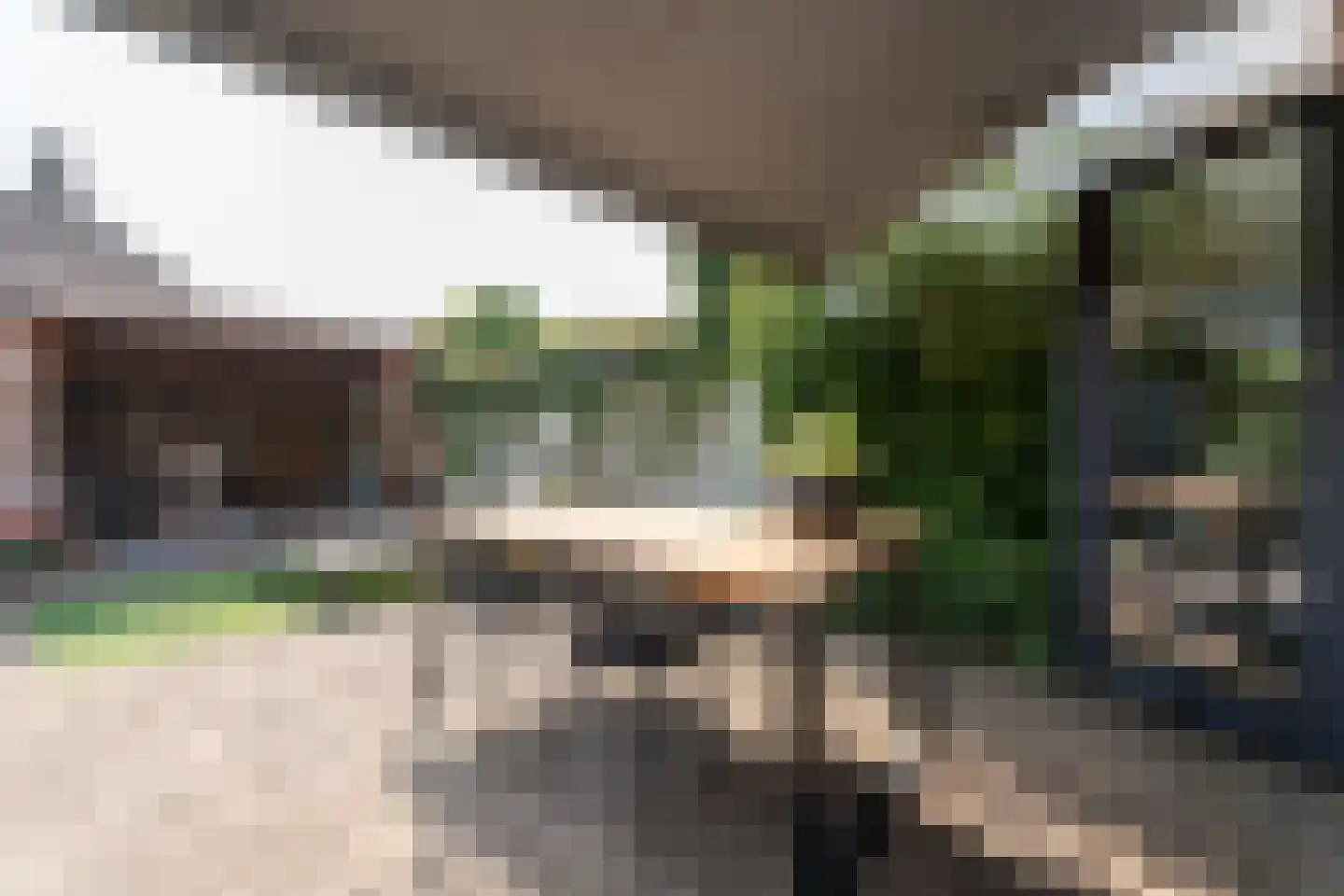 Jacob Catssingel 95 Breda thumbnail 34
