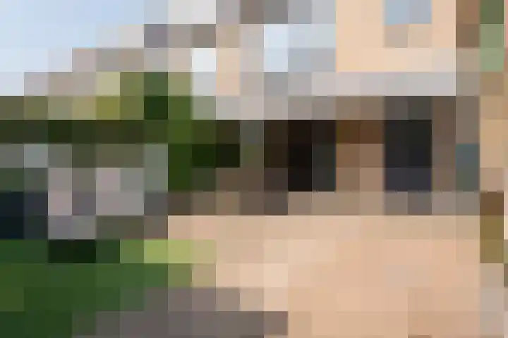 Jacob Catssingel 95 Breda thumbnail 36