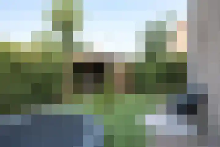 Jacob Catssingel 95 Breda thumbnail 39