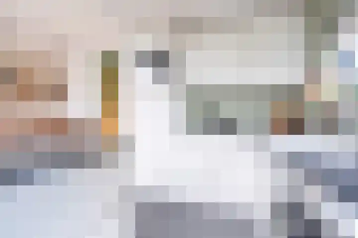 Jacob Catssingel 95 Breda thumbnail 5